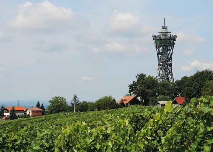 Zidanica Lan Vakantiehuis Lendava
